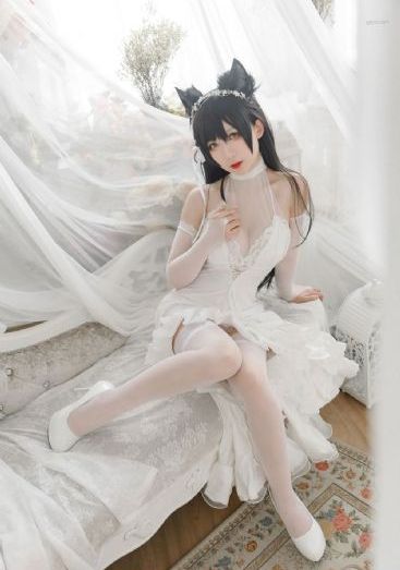欧美精品日韩一本_在线观看免费版